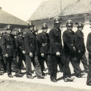 Rok 1953