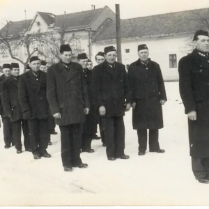 Rok 1953
