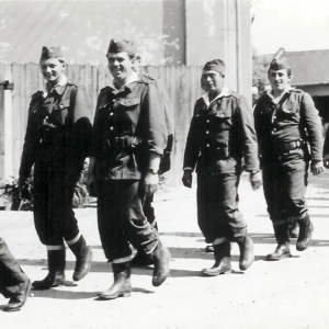 Rok 1965 - 1975