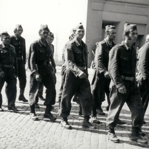 Rok 1977
